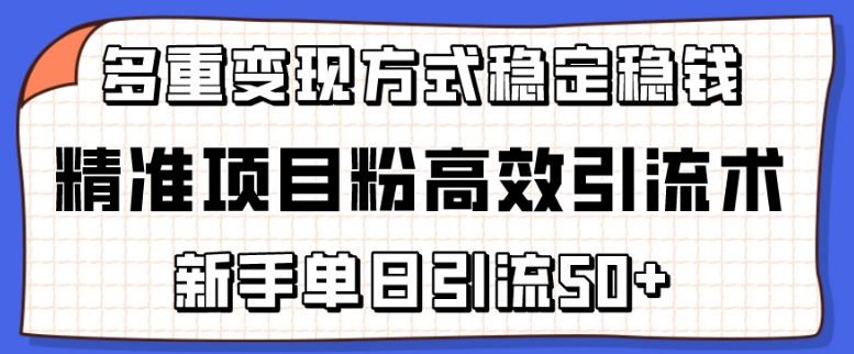 精准项目粉高效引流术,新手单日引流50+,多重变现方式稳定赚钱-极速搞钱云网创