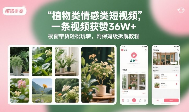 植物类情感类短视频,一条视频获赞36W+,橱窗带货轻松玩转,附保姆级拆解教程-极速搞钱云网创