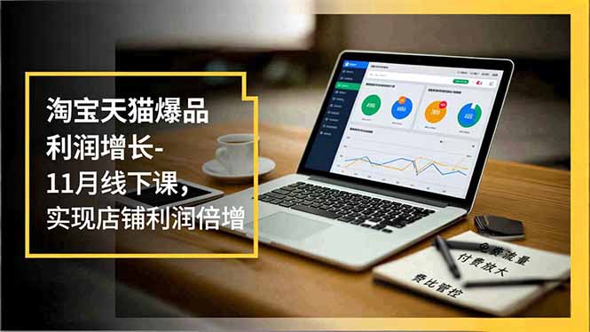 淘宝天猫爆品利润增长-11月线下课，免费流量、付费放大、费比管控，实现店铺利润倍增-极速搞钱云网创