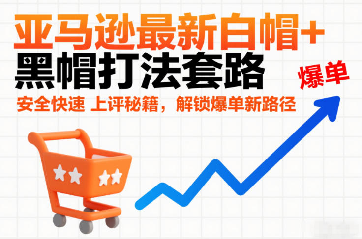 亚马逊最新白帽+黑帽打法套路，安全快速上评秘籍，解锁爆单新路径-极速搞钱云网创