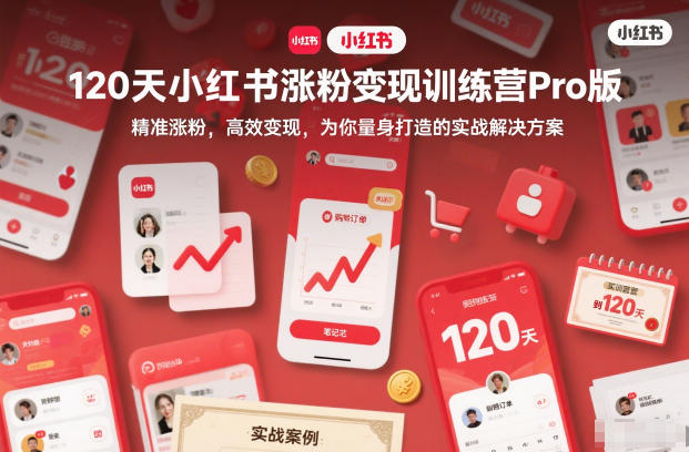 120天小红书涨粉变现训练营Pro版，精准涨粉，高效变现，为你量身打造的实战解决方案-极速搞钱云网创